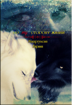 По ту сторону жизни (СИ)