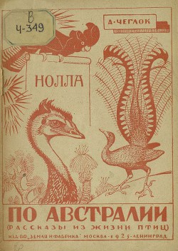 Нолла