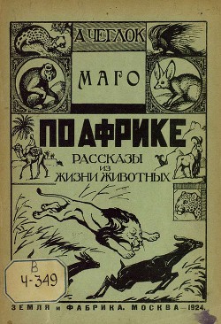 Маго