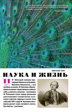 Журнал