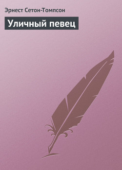 Уличный певец