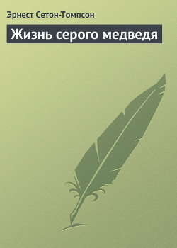 Жизнь серого медведя