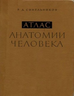Атлас анатомии человека Том 2