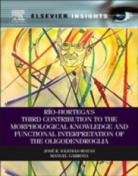 Rio-Hortega's Third Contribution to the Morphological Knowledge and Functional Interpretation of the Oligodendroglia