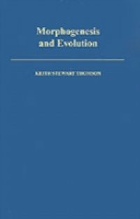 Morphogenesis and Evolution