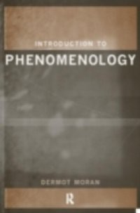 Introduction to Phenomenology