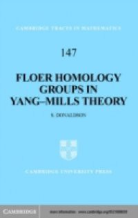 Floer Homology Groups in Yang-Mills Theory