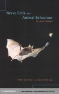 Nerve Cells and Animal Behaviour