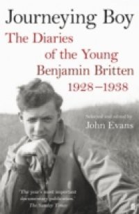 Journeying Boy