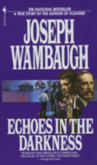 Echoes in the Darkness