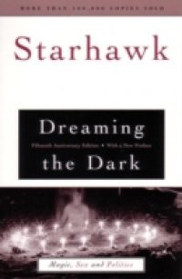 Dreaming the Dark
