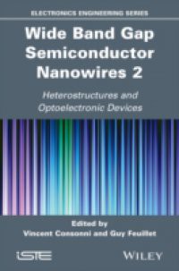 Wide Band Gap Semiconductor Nanowires for Optical Devices