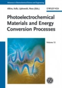 Photoelectrochemical Materials and Energy Conversion Processes, Volume 12