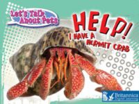 Help! I Have A Hermit Crab