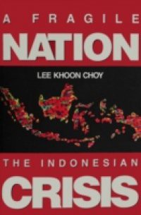 FRAGILE NATION, A