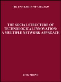 Social Structure of Technological Innovation: