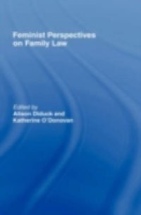 Feminist Perspectives on Family Law