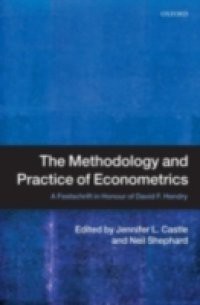 Methodology and Practice of Econometrics: A Festschrift in Honour of David F. Hendry