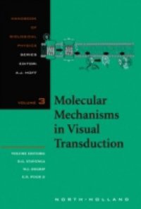 Molecular Mechanisms in Visual Transduction
